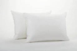 Ultimate Super Bounce Pillows (Pack Of 2)(Ultimate Super Bounce Pillows Pack Of 2)