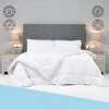 Hotel Quality 5* Egyptian Cotton Percale Premium Duvet - 7.5 Tog Summer Quilt(Hotel Quality 5 Egyptian Cotton Percale Premium Duvet 7 5 Tog Summer Quilt) -Bedding Discount Store 5 14c33435 ebb1 4933 84b8 69b4eca92562