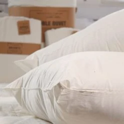 Organic Natural Cotton Cover Ultra Firm Pillow Pair(Organic Natural Cotton Cover Ultra Firm Pillow Pair)