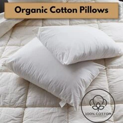 Organic Natural Cotton Cover Ultra Firm Pillow Pair(Organic Natural Cotton Cover Ultra Firm Pillow Pair) -Bedding Discount Store 71B 6zmDG2L. AC SX679