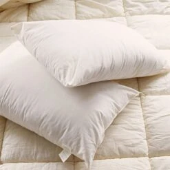 Organic Natural Cotton Cover Ultra Firm Pillow Pair(Organic Natural Cotton Cover Ultra Firm Pillow Pair) -Bedding Discount Store 71EdxdgEgoL. AC SX679