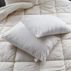 Organic Natural Cotton Cover Ultra Firm Pillow Pair(Organic Natural Cotton Cover Ultra Firm Pillow Pair) -Bedding Discount Store 71iCB3HycyL. AC SX679