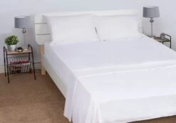Egyptian Cotton Flat Sheet : White(Egyptian Cotton Flat Sheet White)