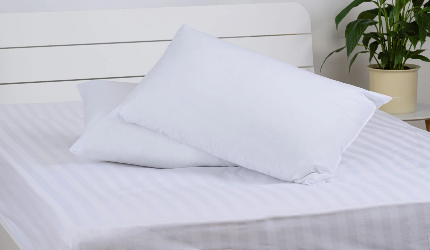 Soft Spiral Bounce Filling- Non Allergenic(Soft Spiral Bounce Filling Non Allergenic) 3 Soft Spiral Bounce Filling- Non Allergenic(Soft Spiral Bounce Filling Non Allergenic)