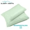 Green Tint Water Proof Pillows(Green Tint Water Proof Pillows) 2 Green Tint Water Proof Pillows(Green Tint Water Proof Pillows) -Bedding Discount Store s l1600 11 ec3c7a56 a70f 4569 8805 0af104e8b001